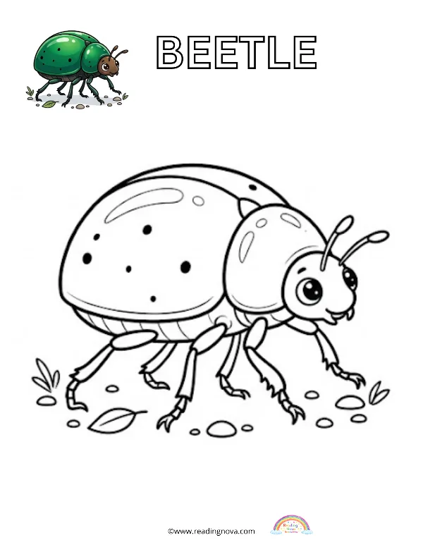 Free colouring page: Beetle