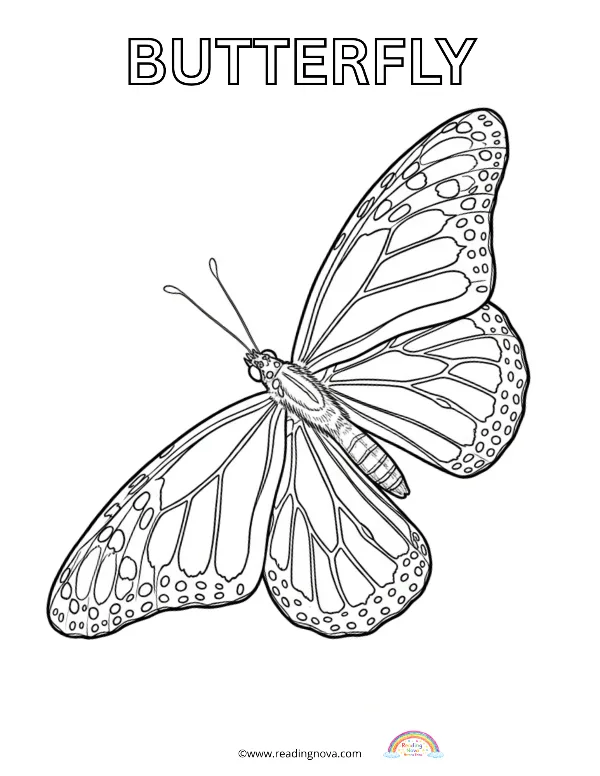 Free colouring page: Butterfly