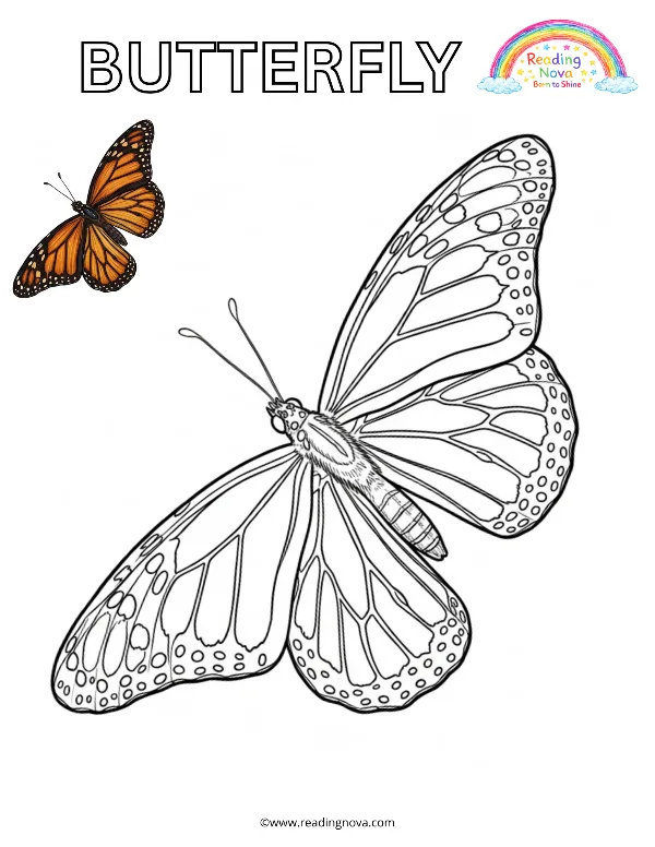 Free colouring page: Butterfly