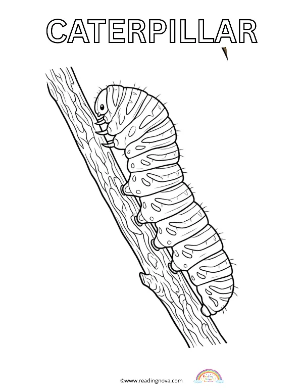 Free colouring page: Caterpillar
