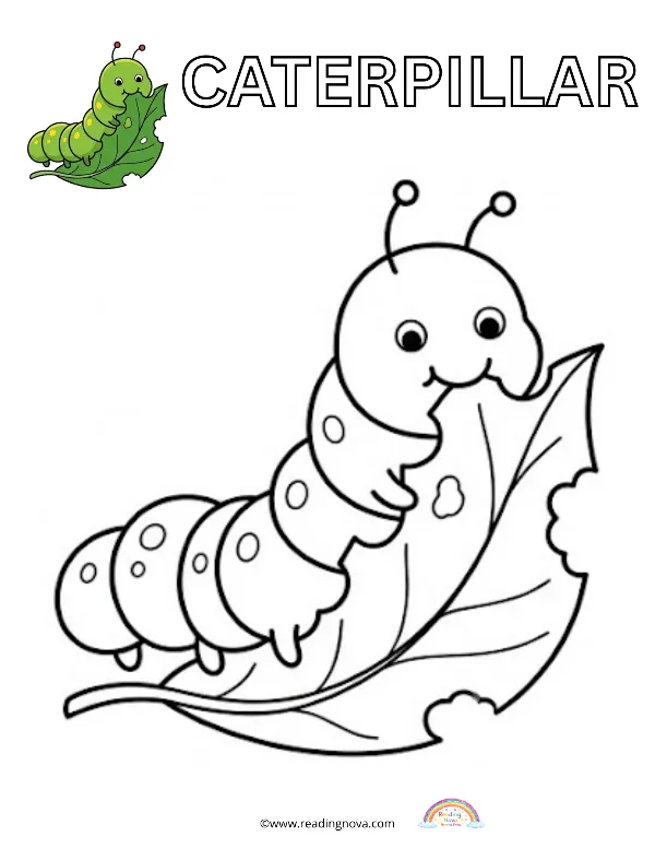 Free colouring page: Caterpillar