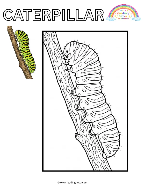 Free colouring page: Caterpillar