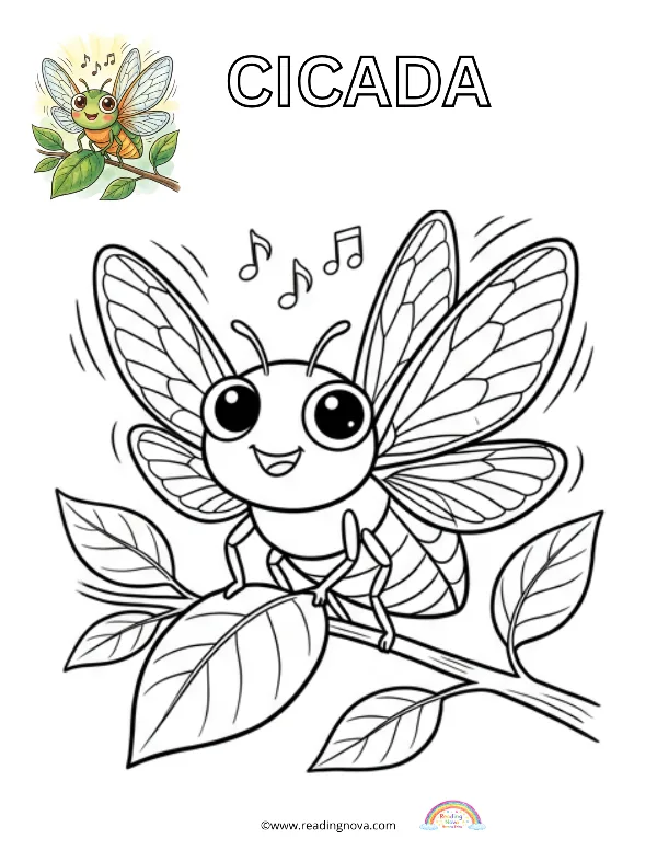 Free colouring page: Cicada