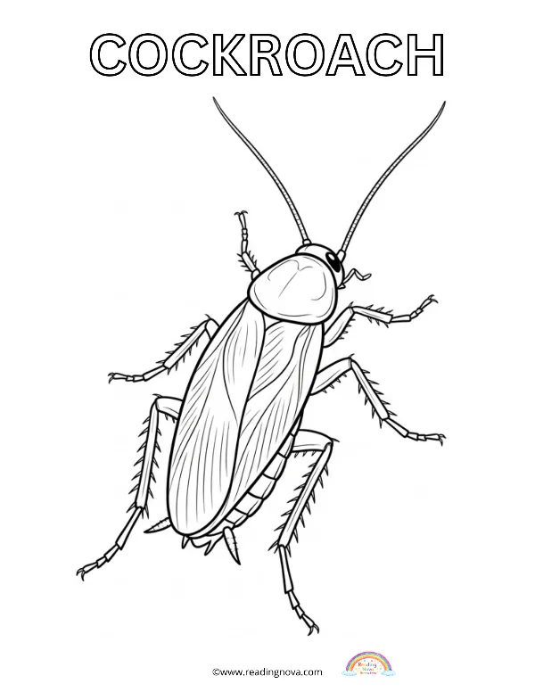 Free colouring page: Cockroach