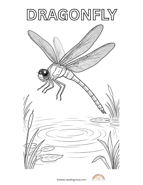 Free colouring page: Dragonfly
