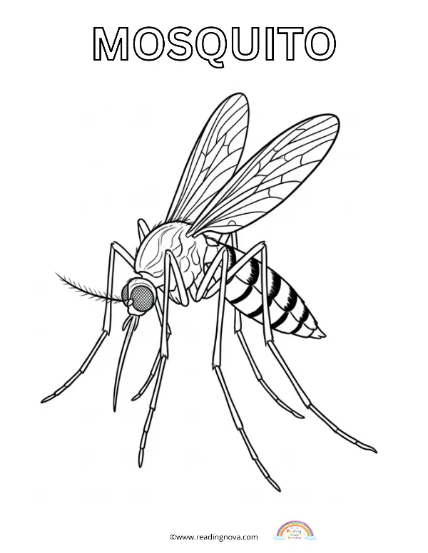 Free colouring page: Mosquito