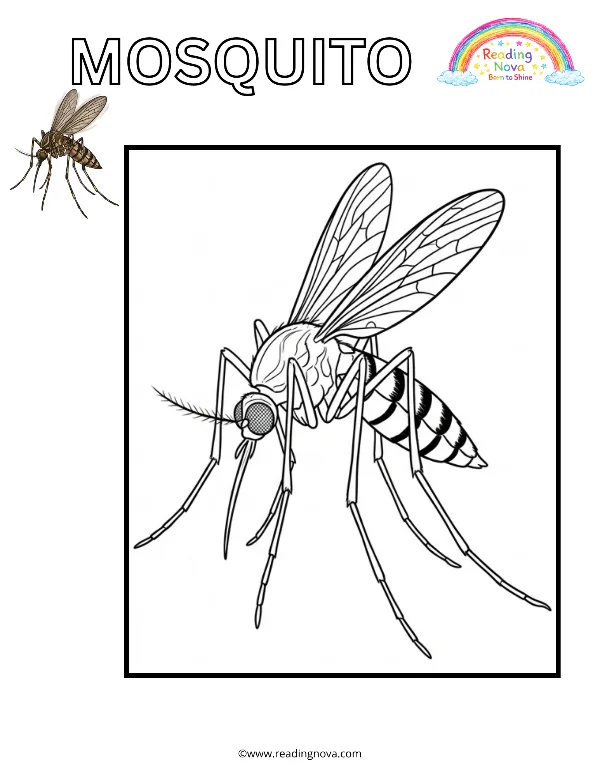 Free colouring page: Mosquito