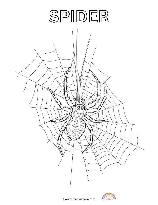 Free colouring page: Spider