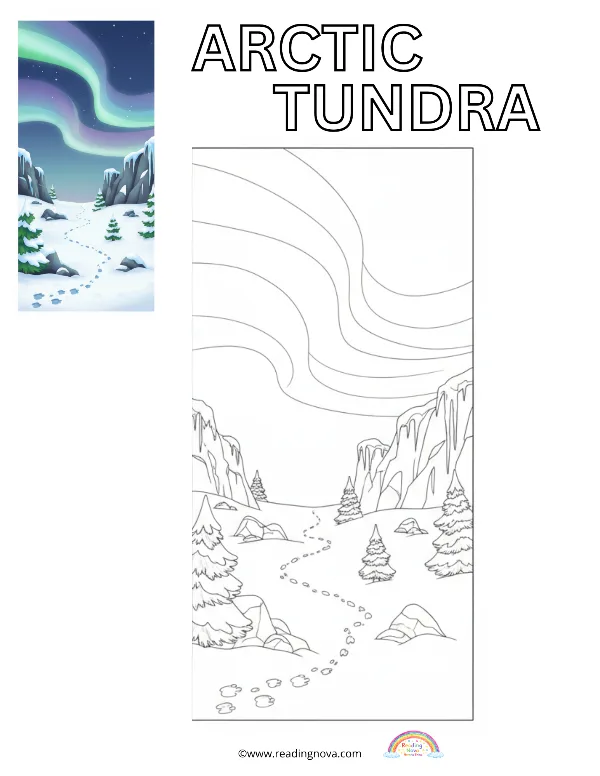 Free colouring page: Arctic Tundra