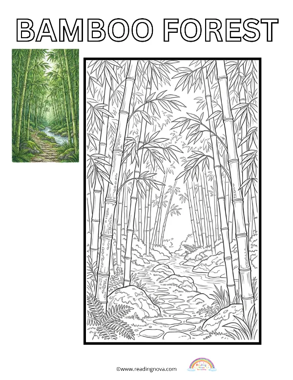 Free colouring page: Bamboo Forest