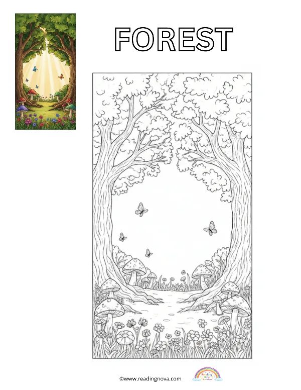 Free colouring page: Forest