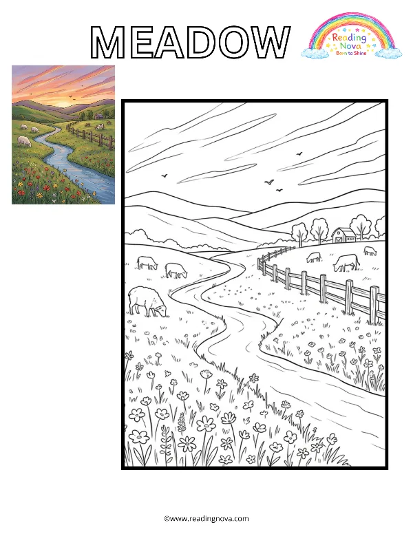 Free colouring page: Meadow