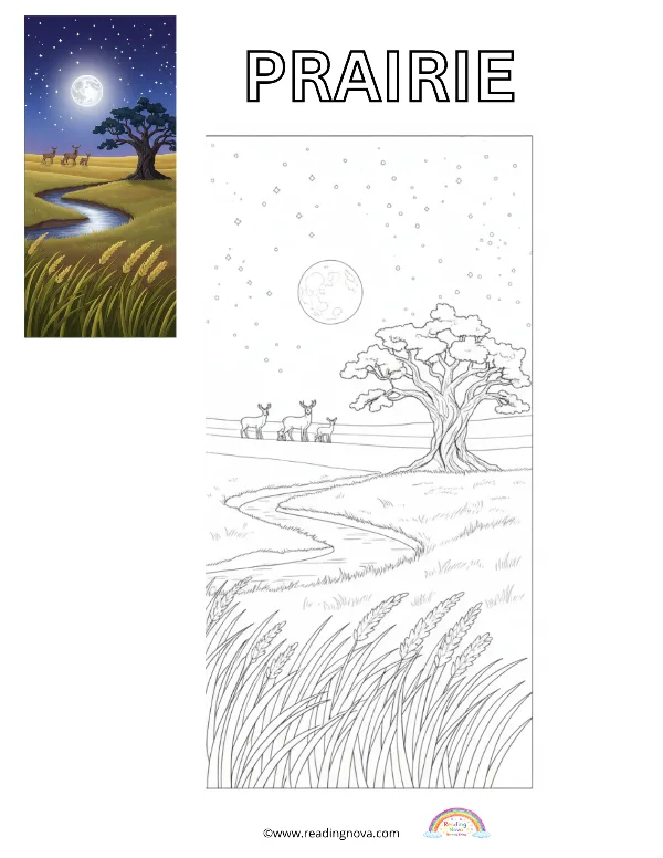 Free colouring page: Prairie