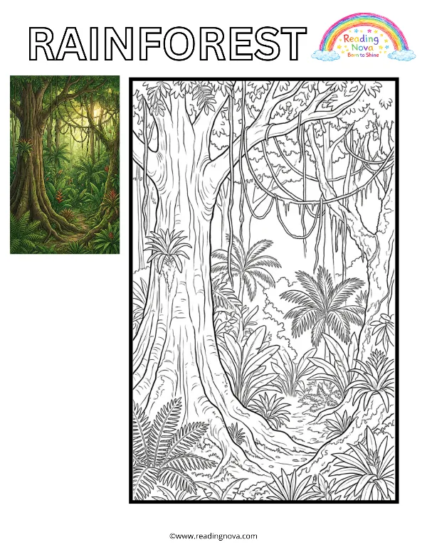 Free colouring page: Rainforest