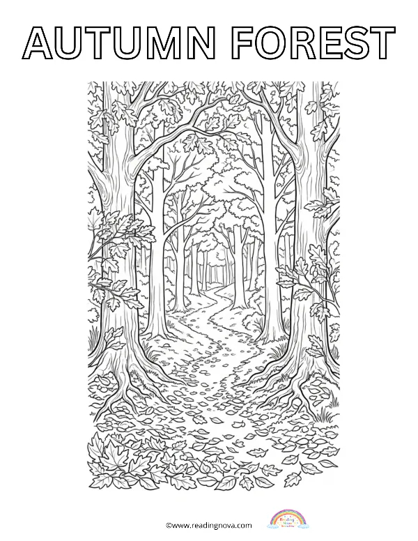 Free colouring page: Autumn Forest