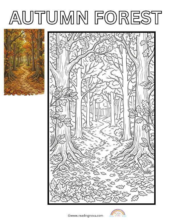 Free colouring page: Autumn Forest