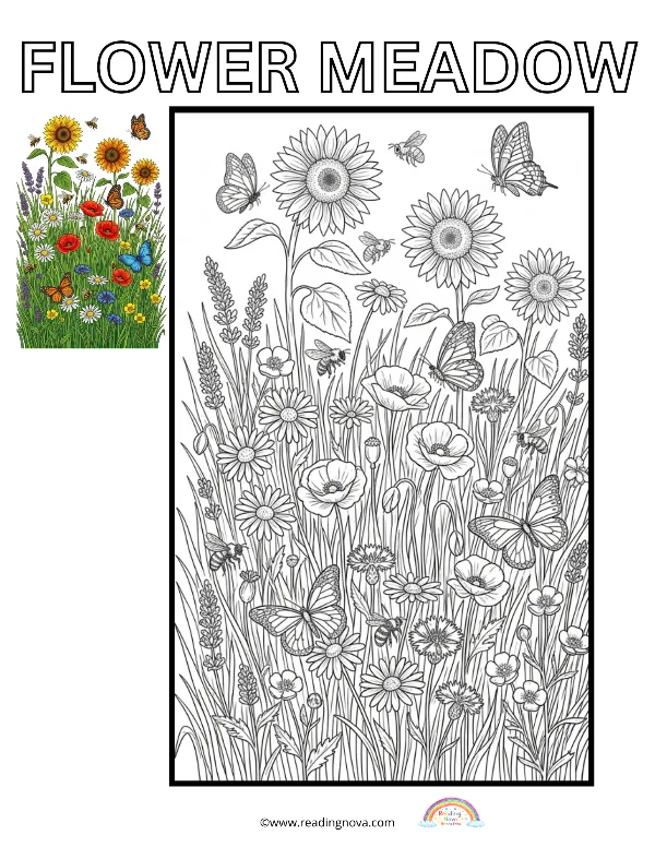 Free colouring page: Flower Meadow