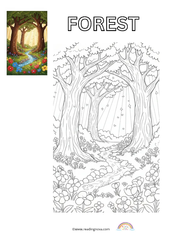 Free colouring page: Forest