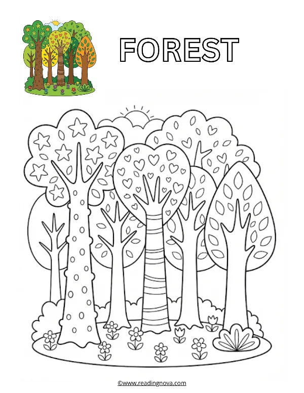 Free colouring page: Forest