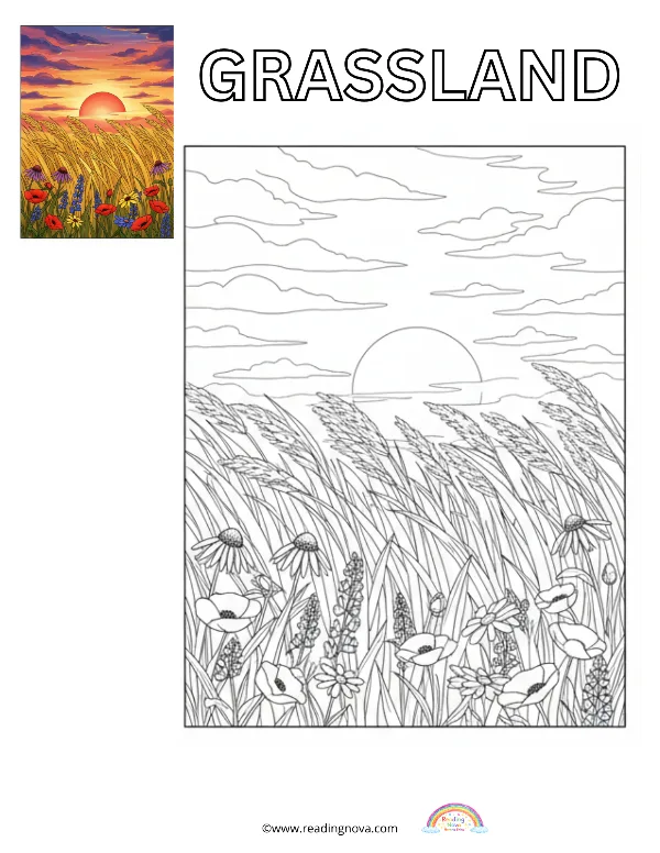 Free colouring page: Grassland