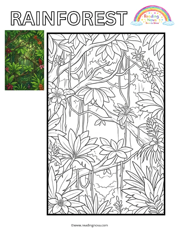 Free colouring page: Rainforest