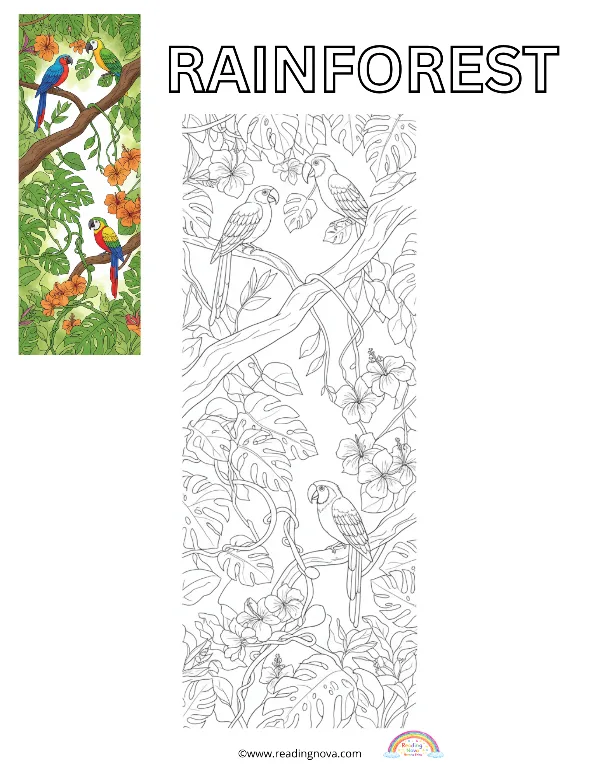 Free colouring page: Rainforest