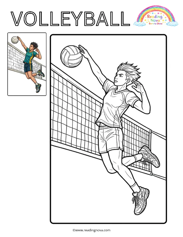 Free colouring page: Volleyball