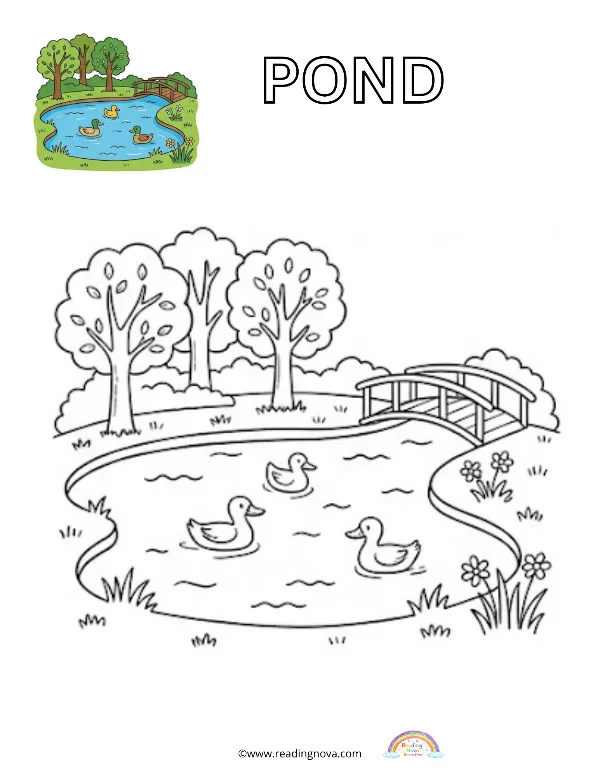 Free colouring page: Pond