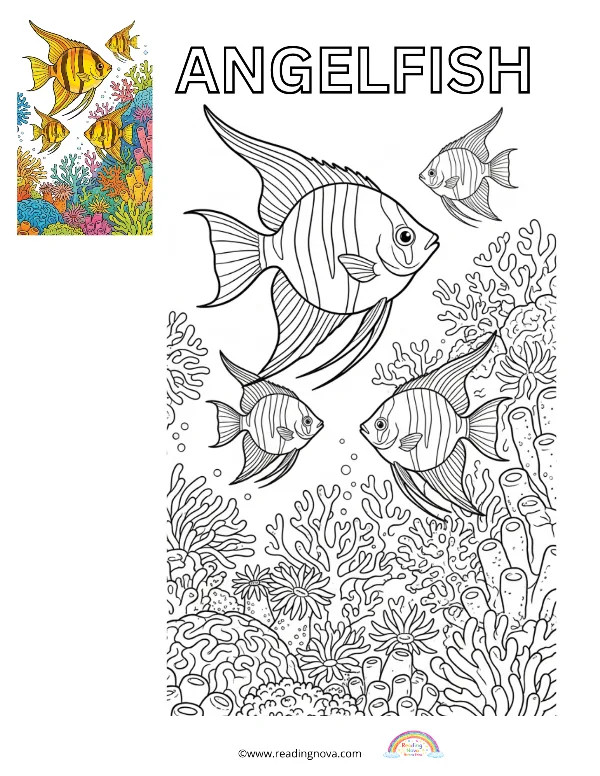 Free colouring page: Angel Fish