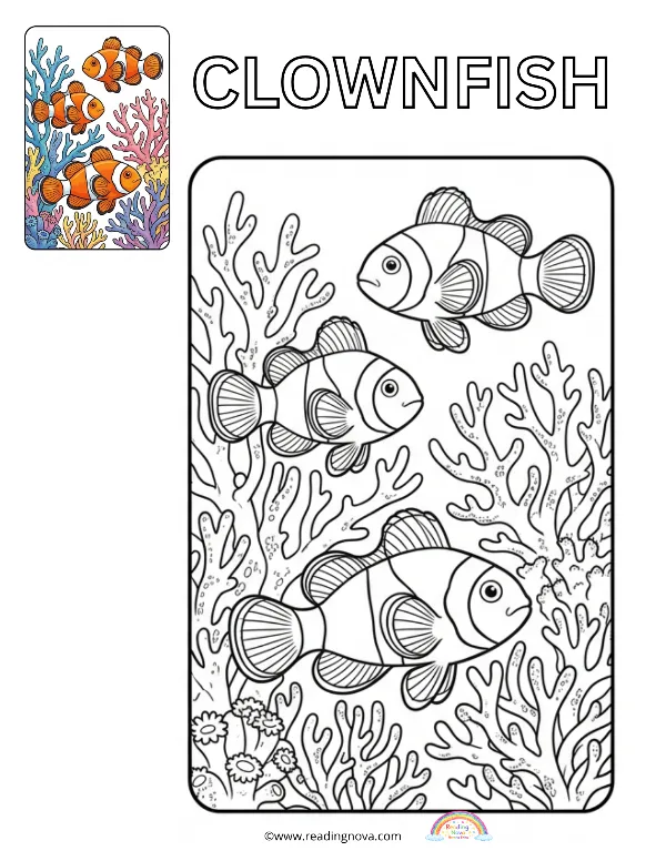 Free colouring page: Clownfish