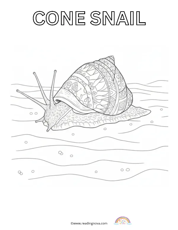 Free colouring page: Cone Snail