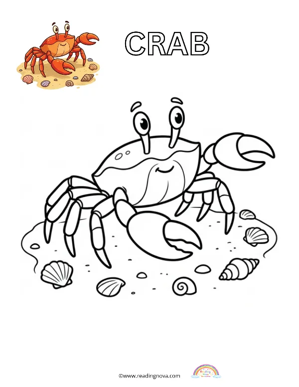 Free colouring page: Crab