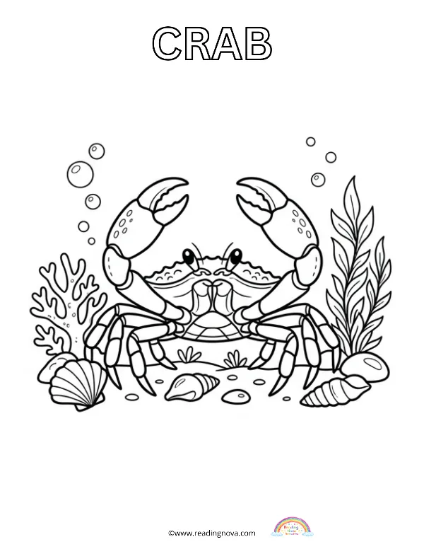 Free colouring page: Crab
