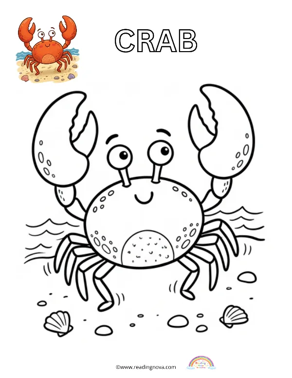 Free colouring page: Crab