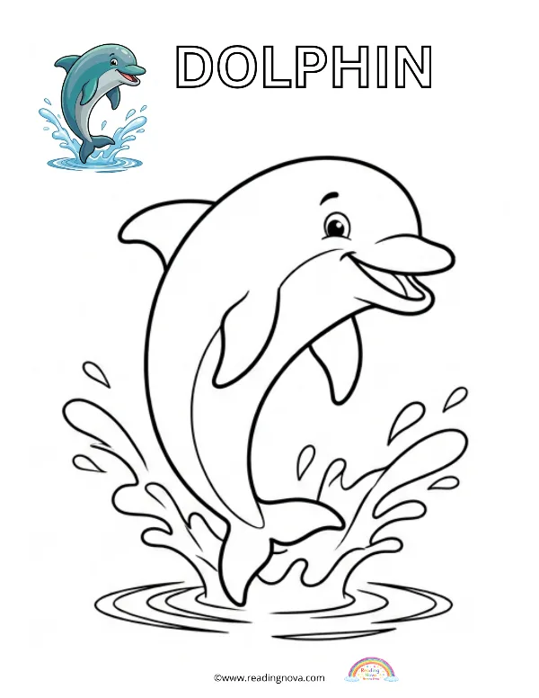 Free colouring page: Dolphin