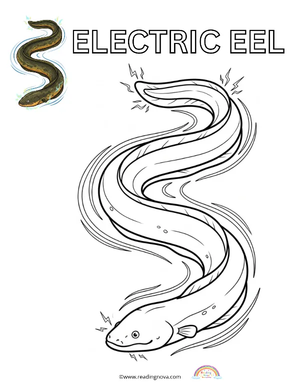 Free colouring page: Electric Eel
