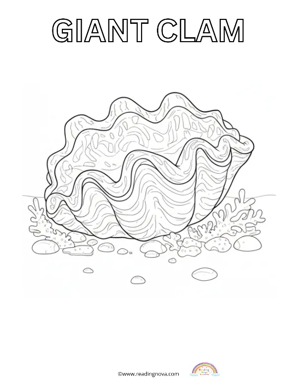 Free colouring page: Giant Clam