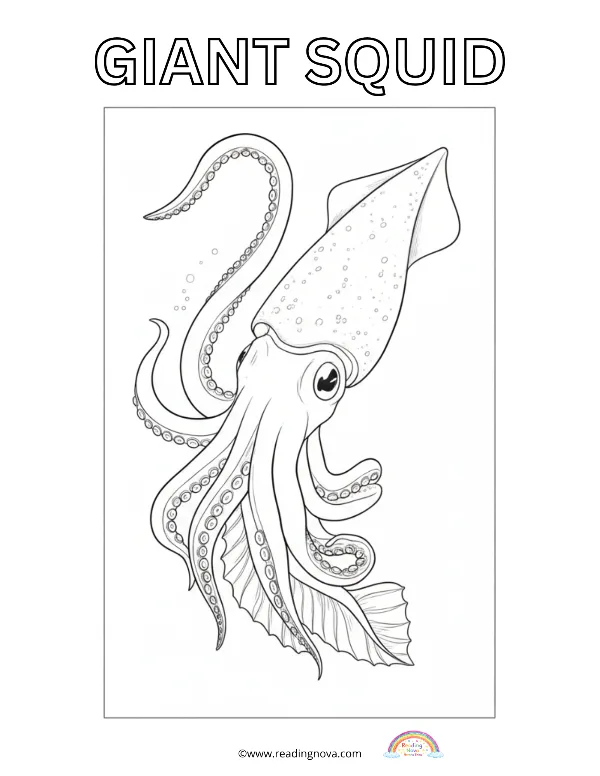 Free colouring page: Giant Squid