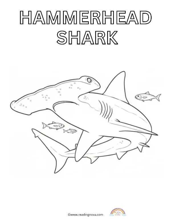 Free colouring page: Hammerhead Shark