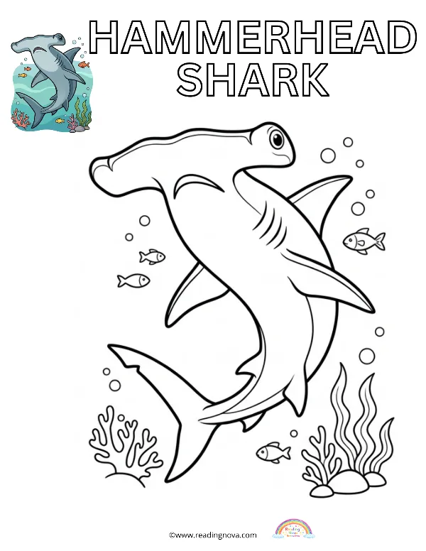 Free colouring page: Hammerhead Shark