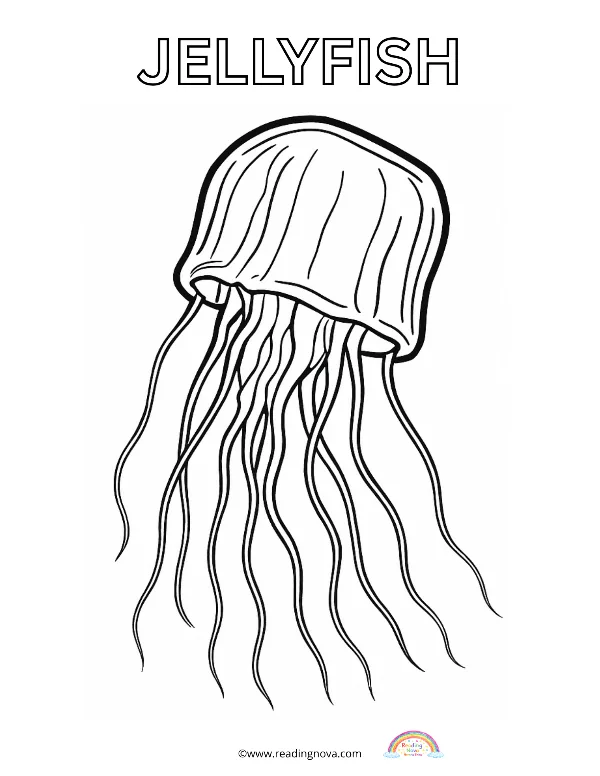 Free colouring page: Jellifish