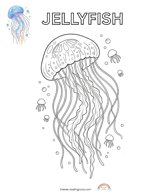 Free colouring page: Jellyfish