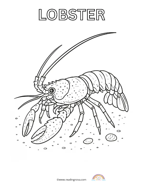 Free colouring page: Lobster