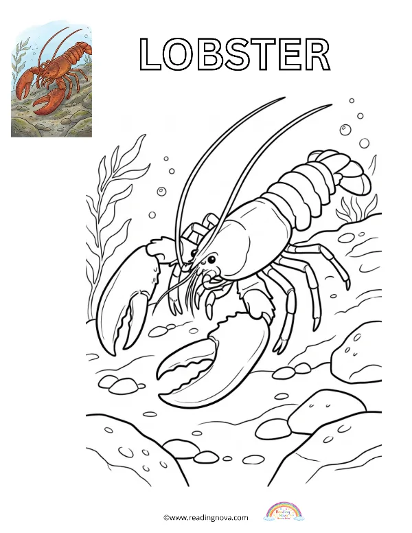 Free colouring page: Lobster