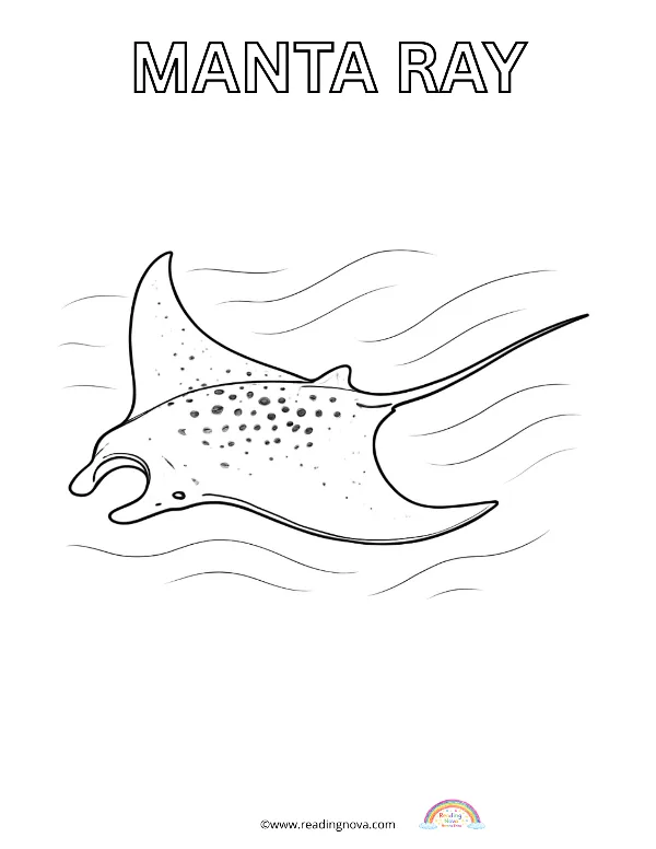 Free colouring page: Manta Ray