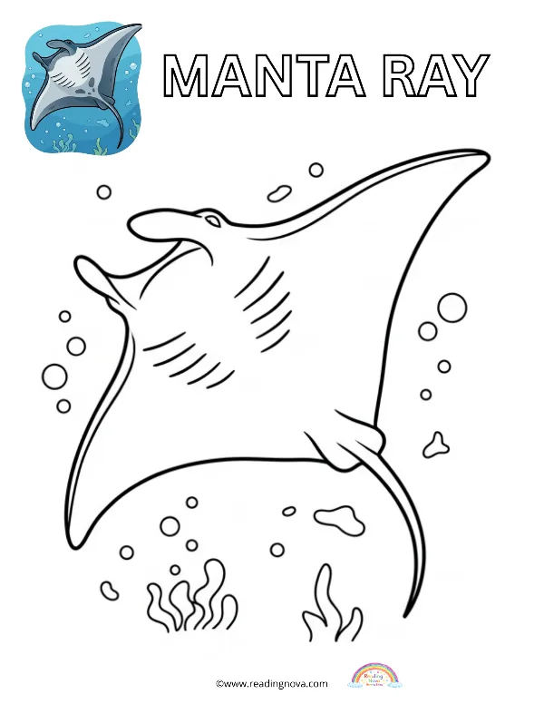 Free colouring page: Manta Ray