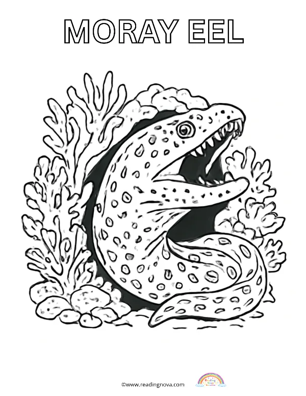 Free colouring page: Moray Eal