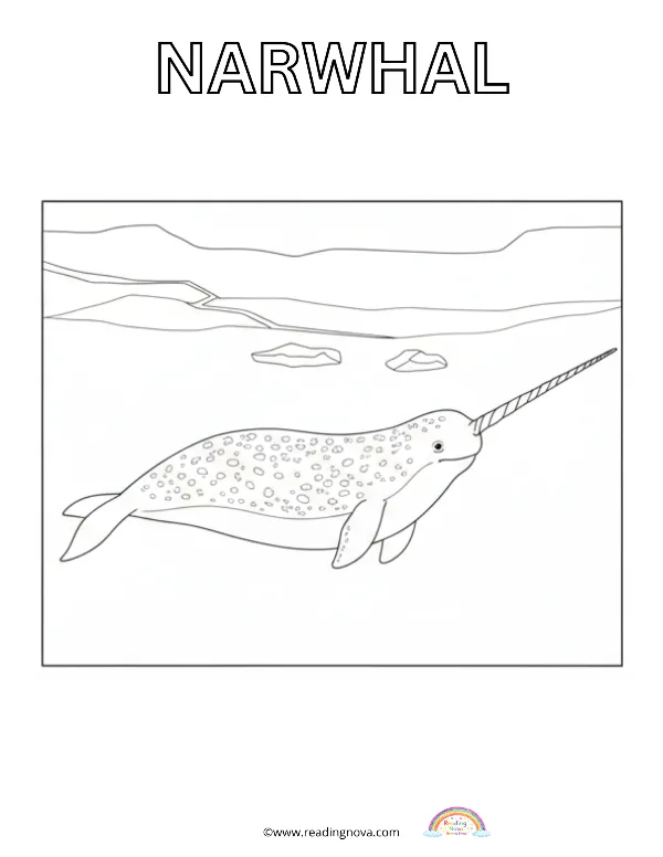 Free colouring page: Narwhal