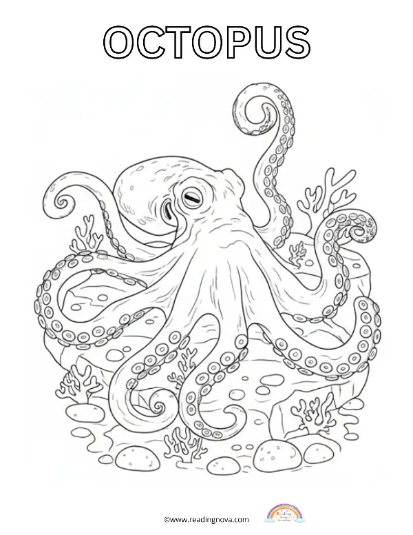 Free colouring page: Octopus