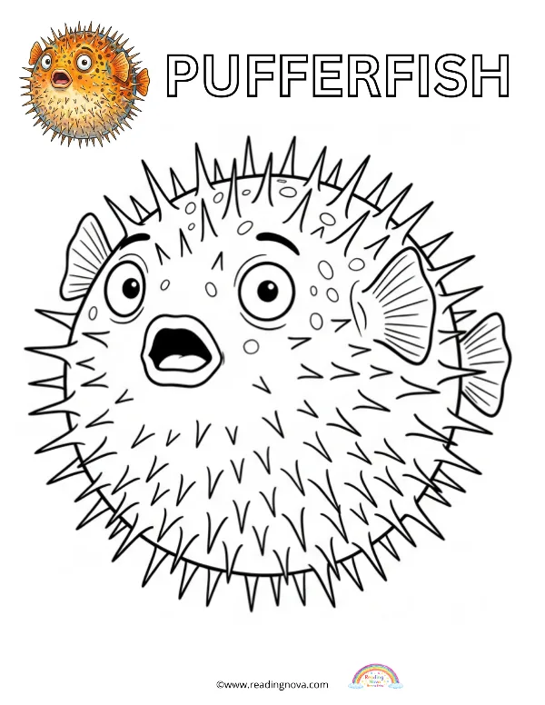 Free colouring page: Pufferfish